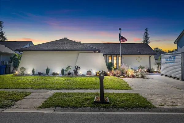 16124 Ravendale Drive, TAMPA, FL 33618