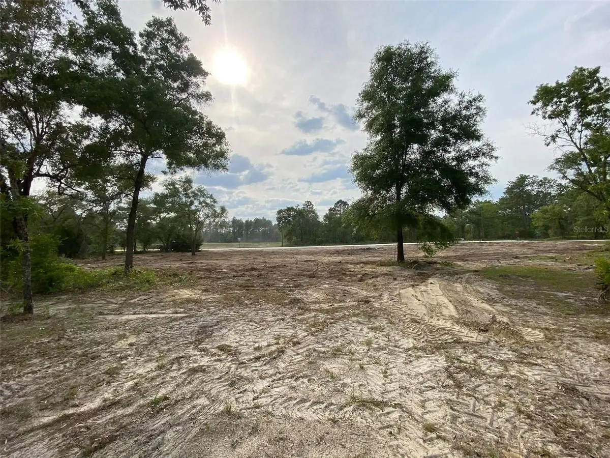 Lot 1 Cagarro Road, Weeki Wachee, FL 34614 - #1