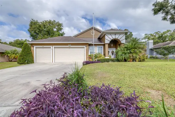 3949 Lake Joyce Drive, LAND O LAKES, FL 34639