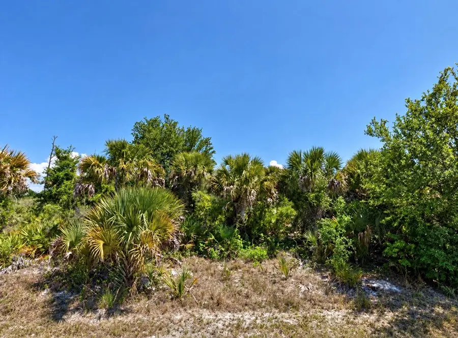 Ponds Street, North Port, FL 34286 - #3