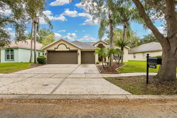 19103 Dove Creek Drive, TAMPA, FL 33647