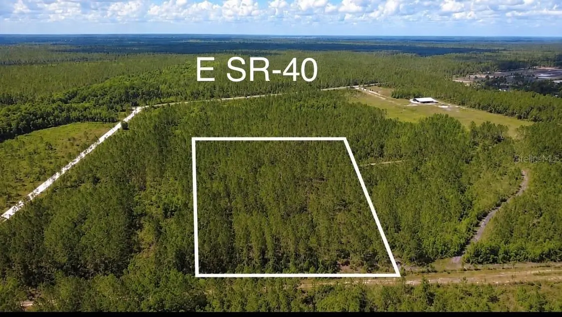 Wild Cur Road, Pierson, FL 32180 - #1