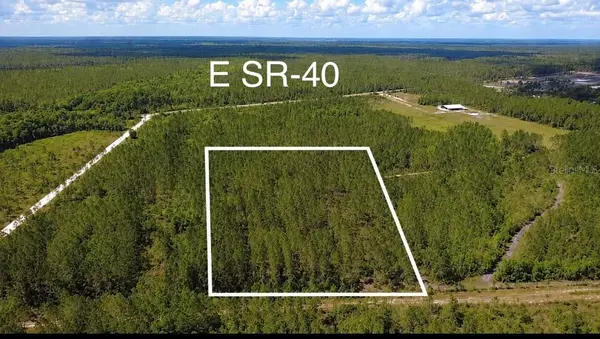 Wild Cur Road, PIERSON, FL 32180