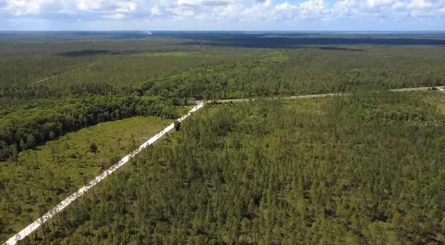 Wild Cur Road, Pierson, FL 32180 - #2