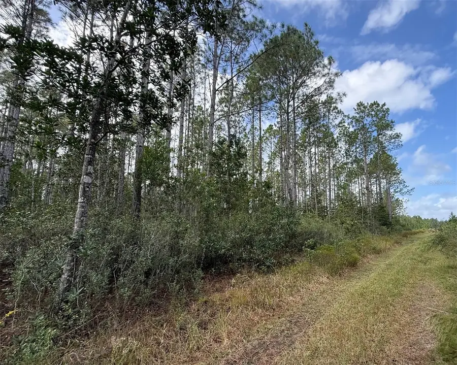 Wild Cur Road, Pierson, FL 32180 - #3