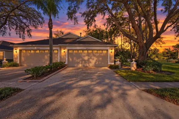 19122 Doves Landing Drive, TAMPA, FL 33647