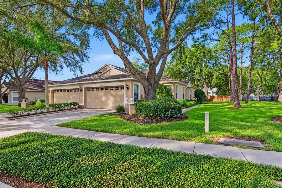 19122 Doves Landing Drive, Tampa, FL 33647 - #3