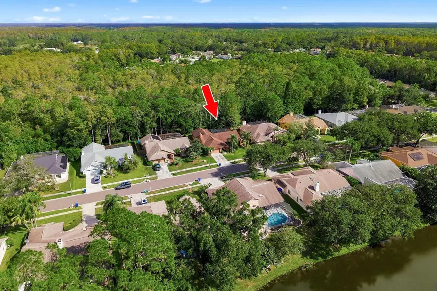 537 Centerwood Drive, Tarpon Springs, FL 34688 - #2