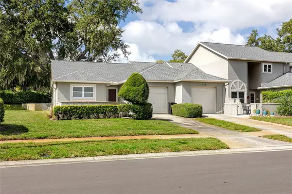 340 Buckingham Place, PALM HARBOR, FL 34684