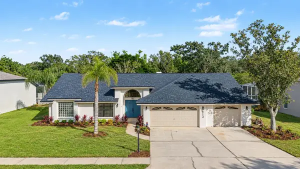 613 Severs Landing, PALM HARBOR, FL 34683