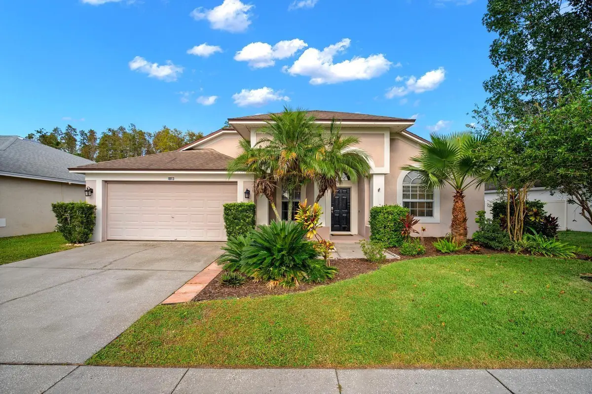 18113 Palm Breeze Drive, Tampa, FL 33647 - #1