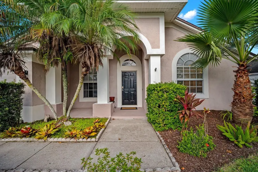 18113 Palm Breeze Drive, Tampa, FL 33647 - #3