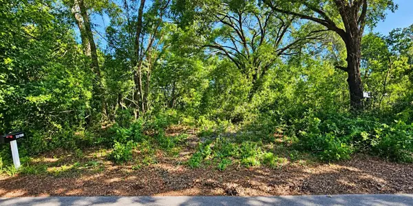 LOT 13 Patrice Road, DADE CITY, FL 33523