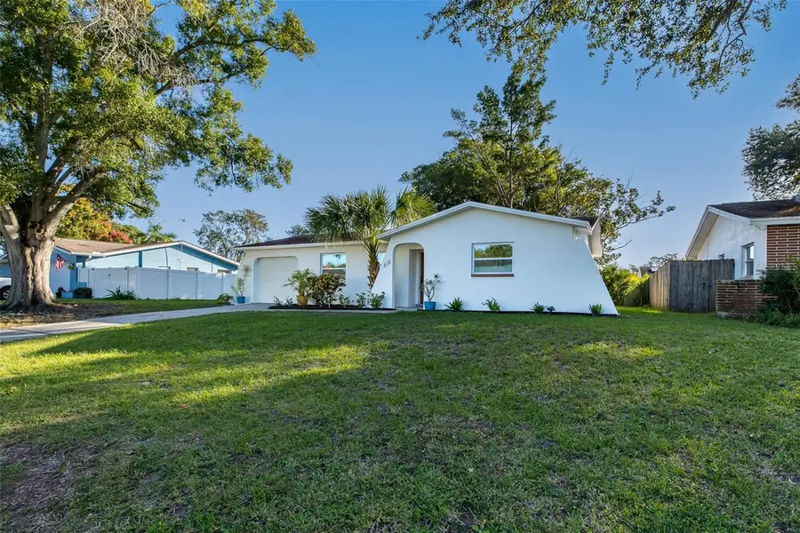 838 Karen Street, Palm Harbor, FL 34684 - #3