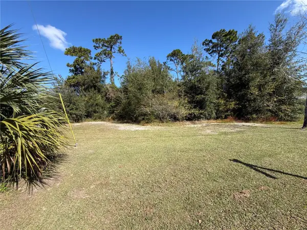 8181 Barry Court, HOMOSASSA, FL 34446