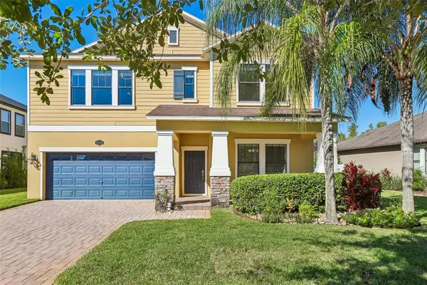 19430 Paddock View Drive, TAMPA, FL 33647