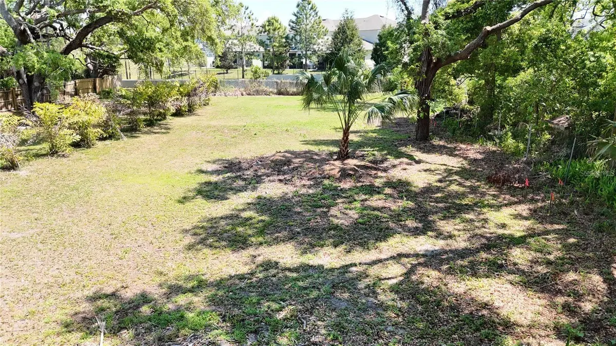 429 St Louis Avenue, Palm Harbor, FL 34683 - #1