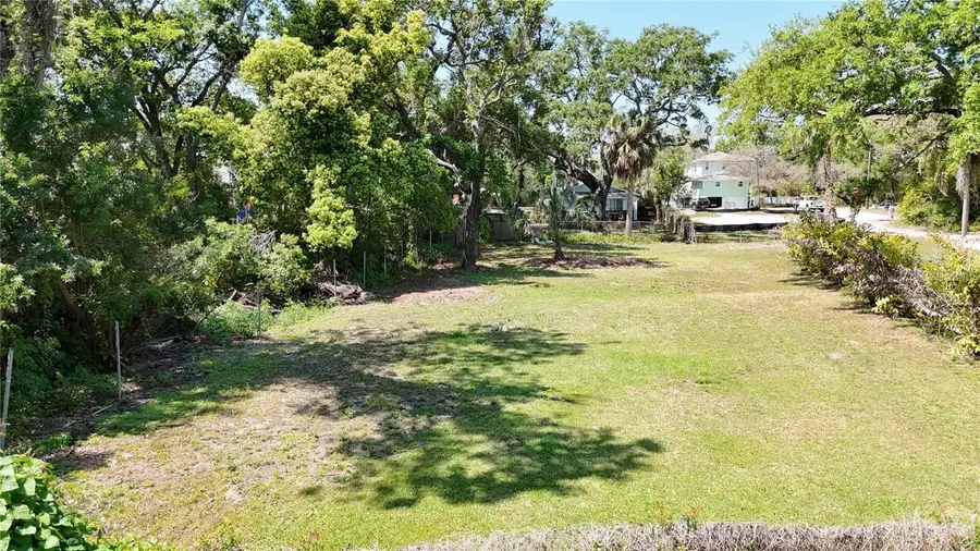 429 St Louis Avenue, Palm Harbor, FL 34683 - #2
