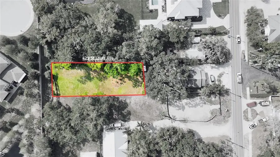 429 St Louis Avenue, Palm Harbor, FL 34683 - #3