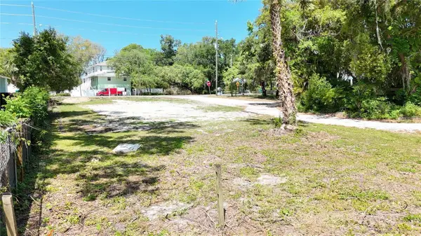 290 Orange Street, PALM HARBOR, FL 34683
