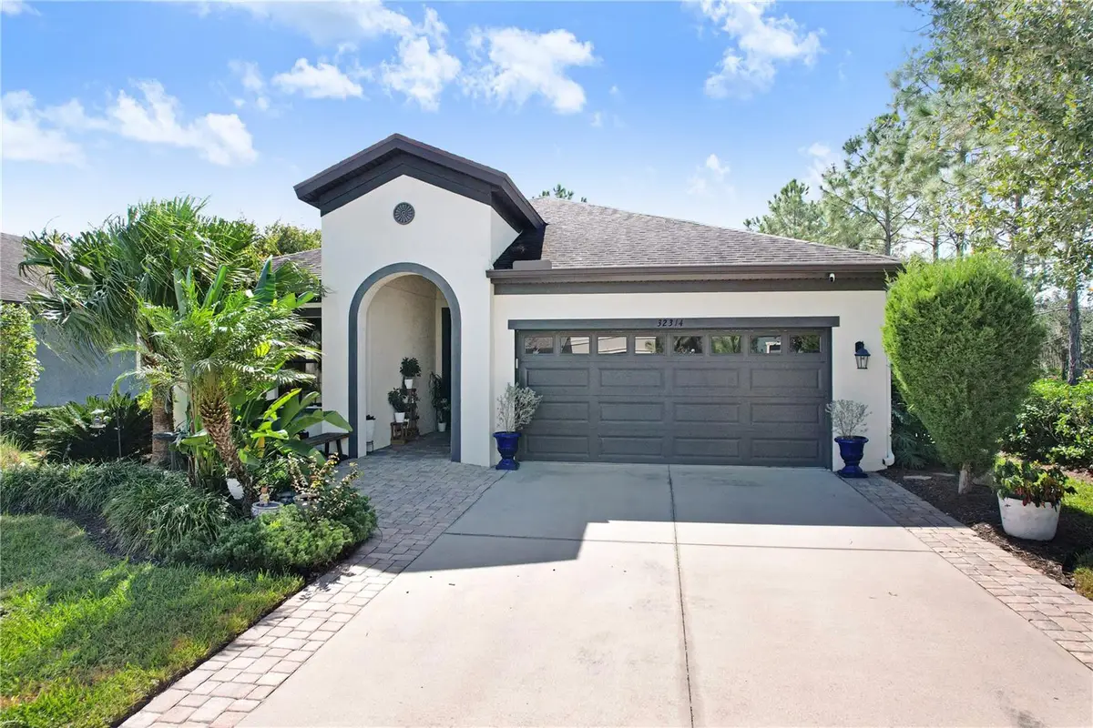 32314 Natural Bridge Road, Wesley Chapel, FL 33543 - #1