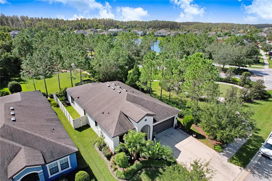 32314 Natural Bridge Road, Wesley Chapel, FL 33543 - #3