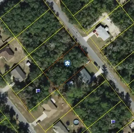 Elm Loop, Ocala, FL 34470 - #2