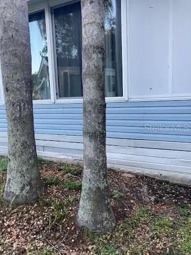 21632 State Road 54 #212, Lutz, FL 33549 - #3
