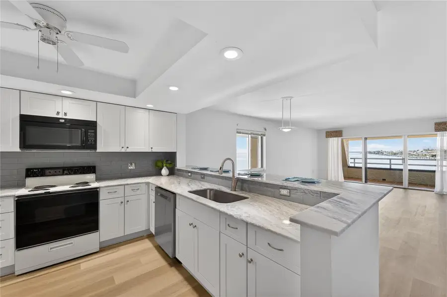 138 1st Street E #302, Saint Petersburg, FL 33715 - #3