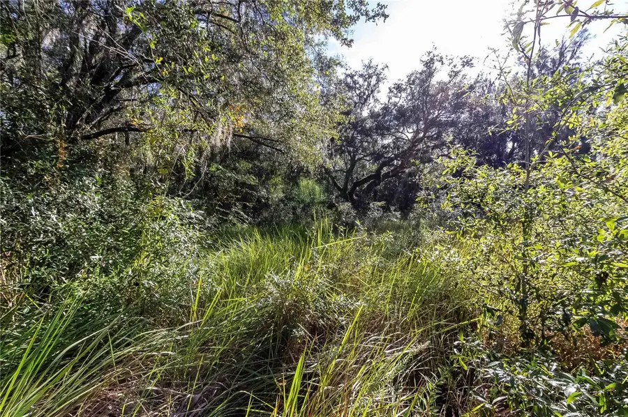 358 NE 13th Terrace, Crystal River, FL 34428 - Image #3