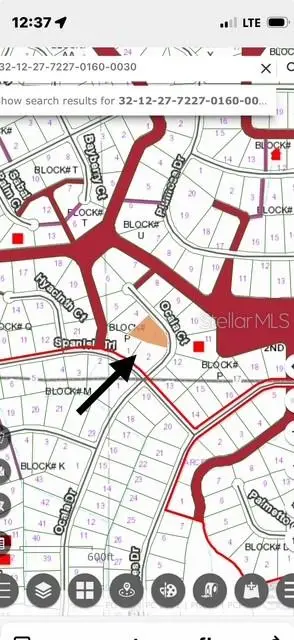 207 Ocala Court, GEORGETOWN, FL 32139