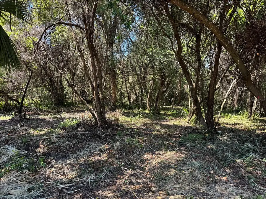 Beau Court, Orange City, FL 32763 - #3