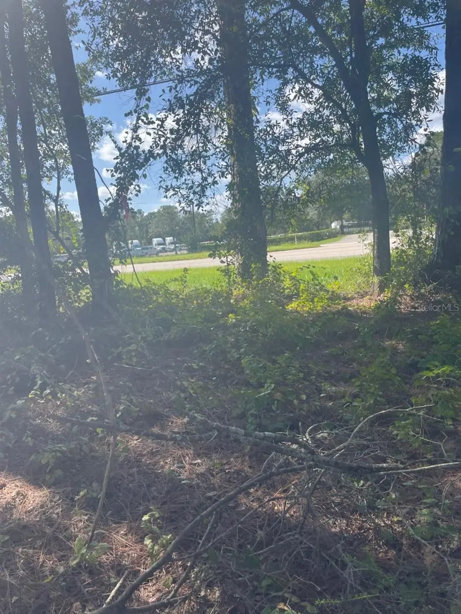 2406 E International Speedway Boulevard, Deland, FL 32724 - Image #3