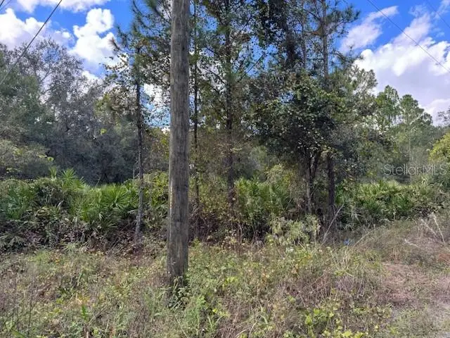 12th Avenue, Deland, FL 32724 - Image #2