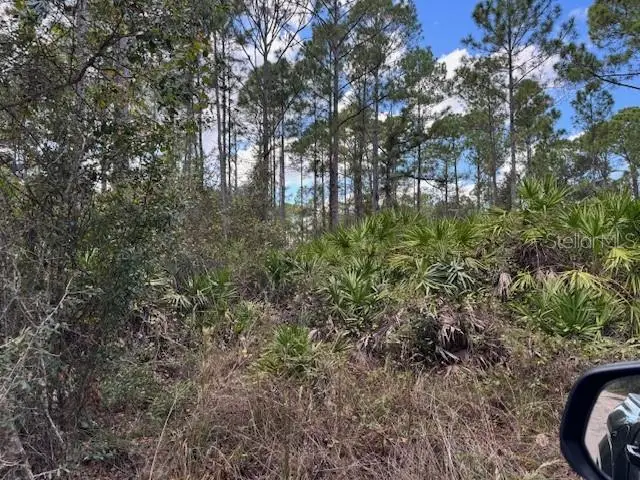 12th Avenue, Deland, FL 32724 - Image #1