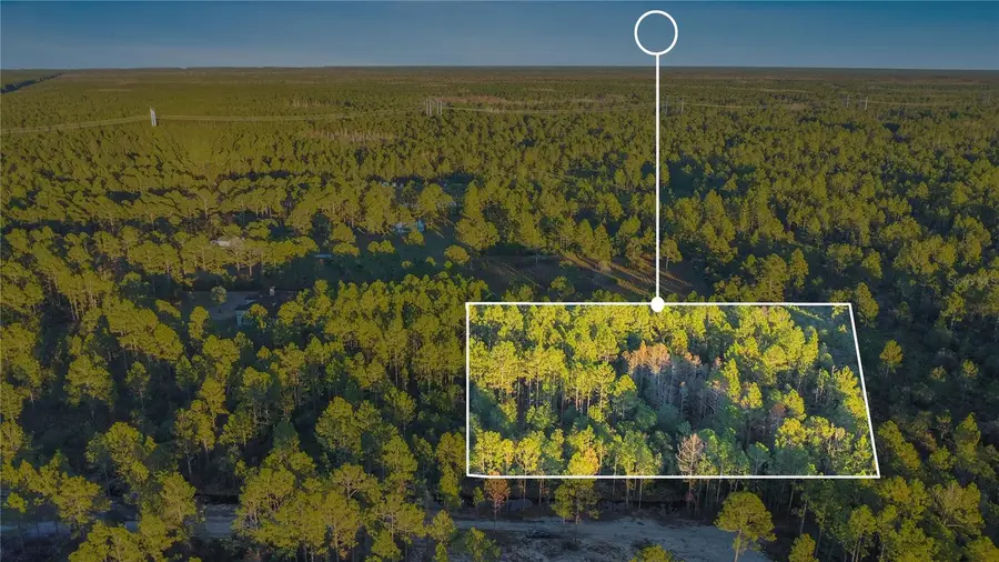 Turkey Roost Road, Deland, FL 32724 - Image #2