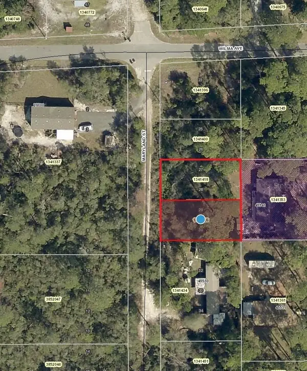 Maryland Street, PAISLEY, FL 32767