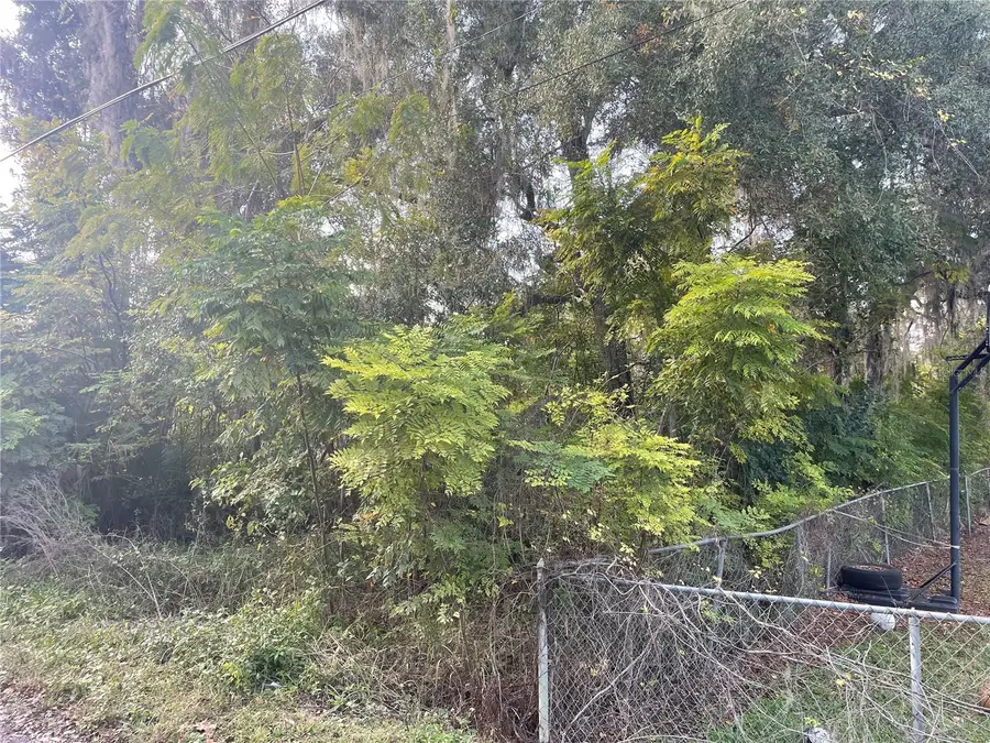 131 Lake Mamie Road, Deland, FL 32724 - Image #3