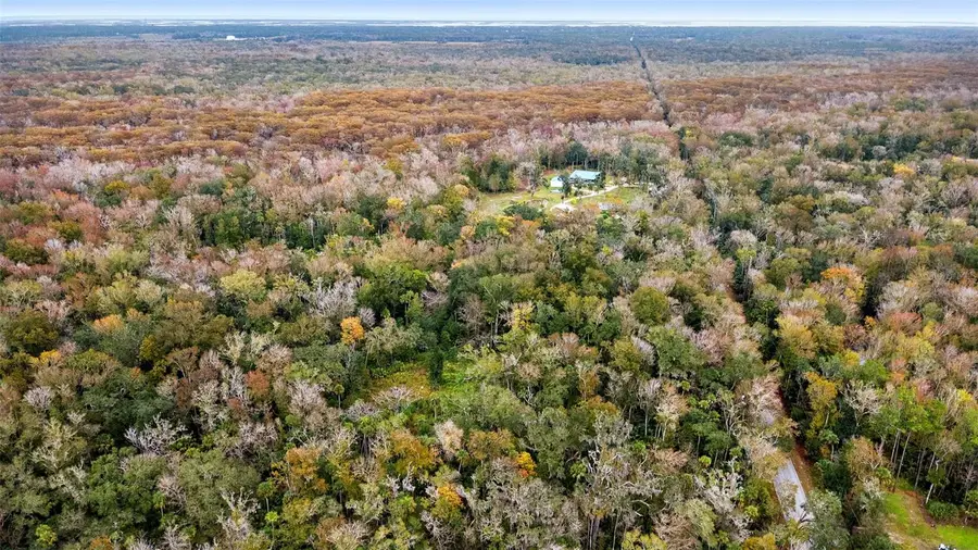 1100 Maytown Road, Oak Hill, FL 32759 - Image #2