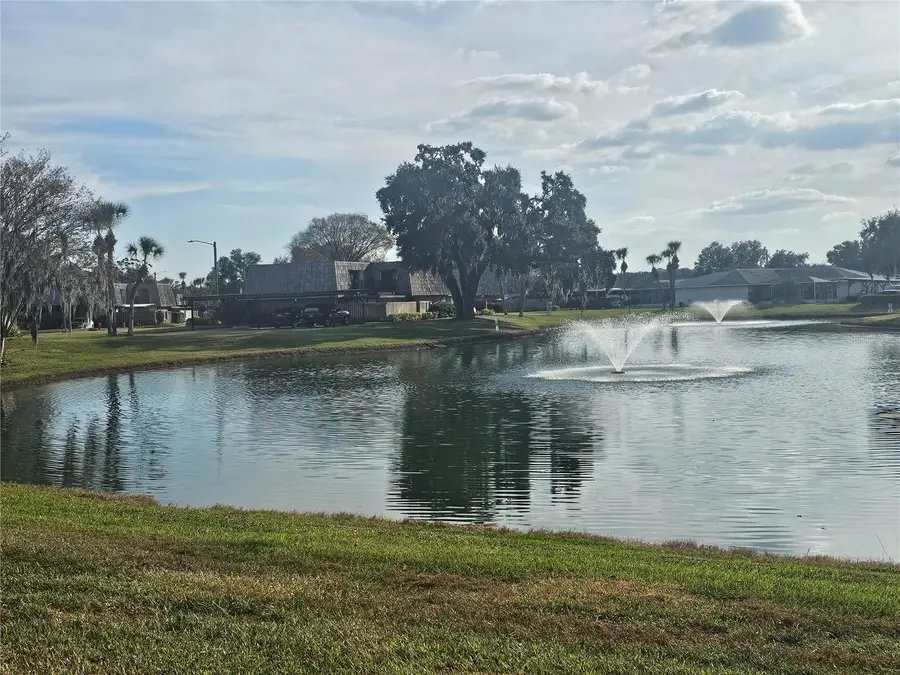 2927 Tangerine Court, Leesburg, FL 34748 - Image #3