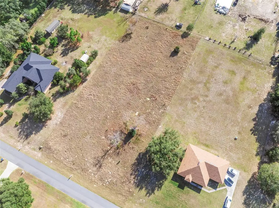 Rolling Oak Road, Sorrento, FL 32776 - Image #3