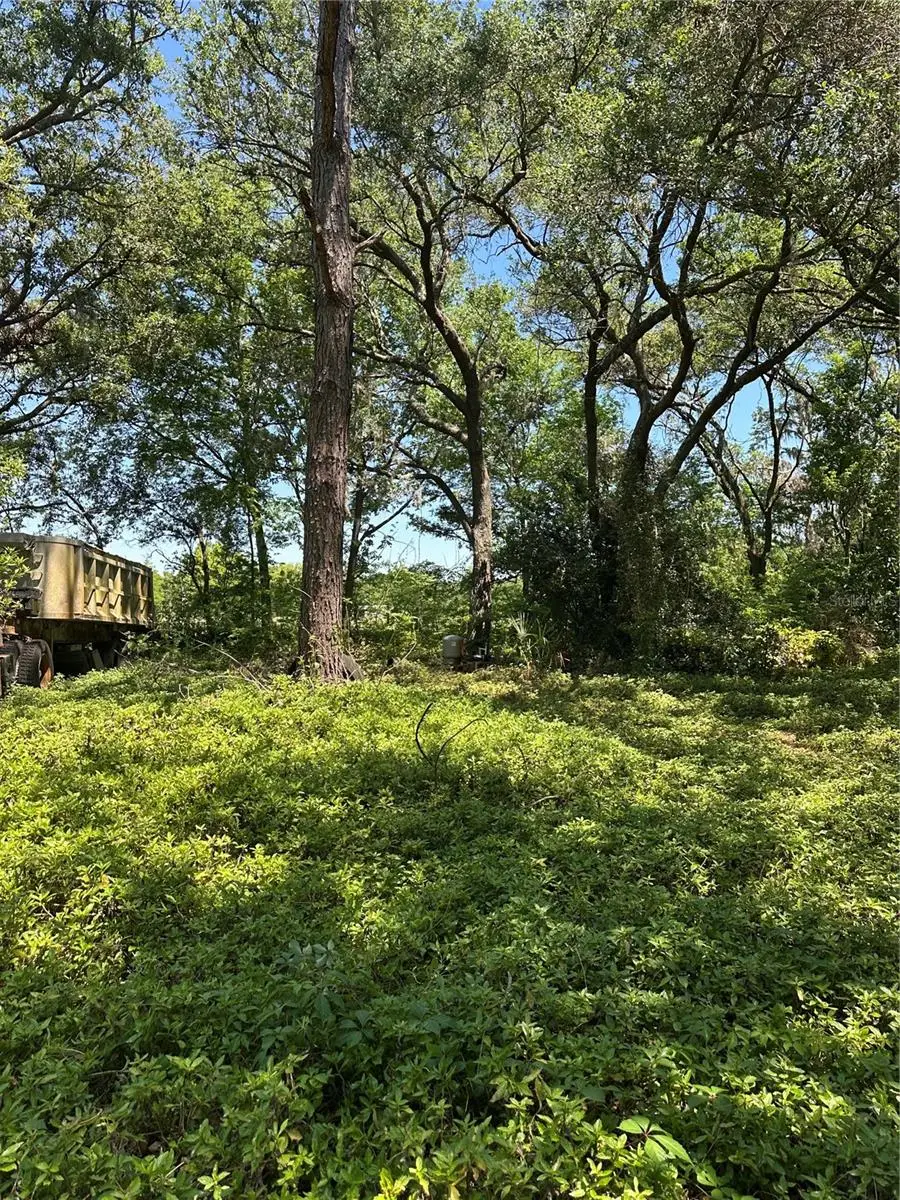 14439 Mascotte Empire Road, Groveland, FL 34736 - Image #3