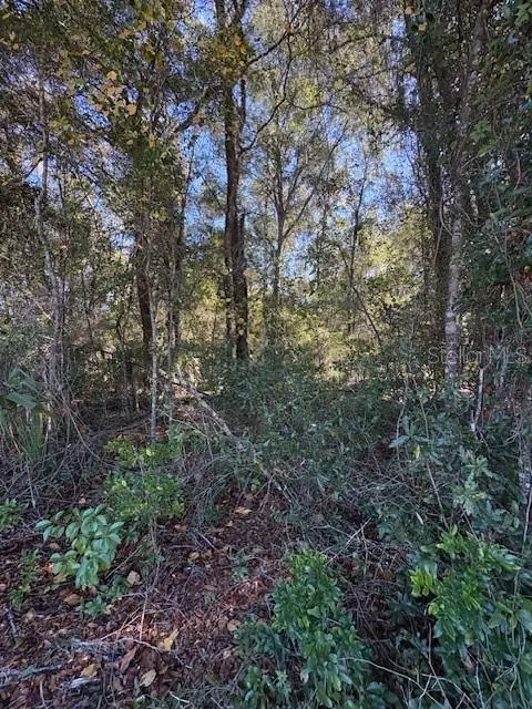 331 S Ridgewood Avenue, Deland, FL 32720 - Image #3