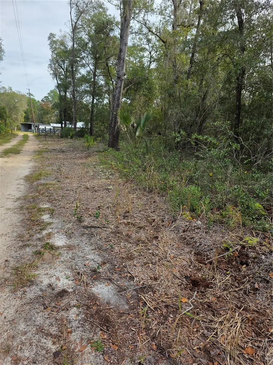 Akron Drive, Paisley, FL 32767 - Image #3