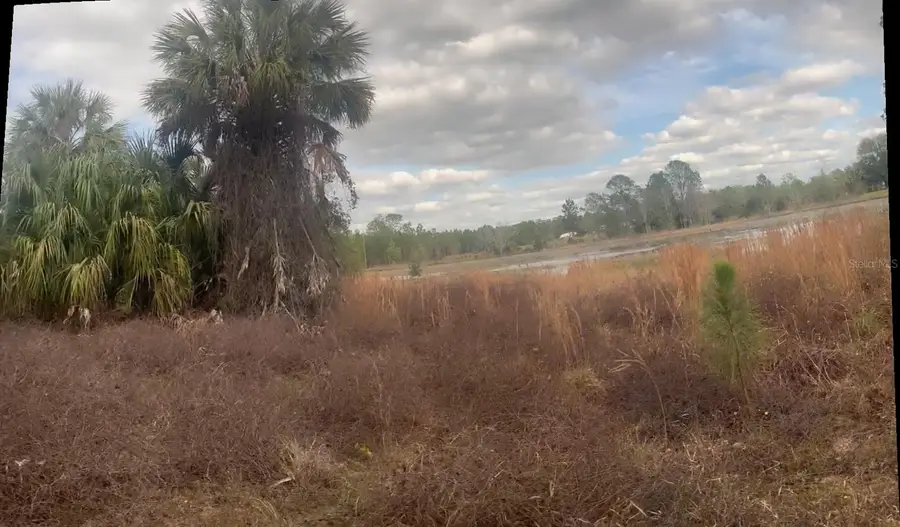 44750 Misty Isle Drive, Deland, FL 32720 - #3