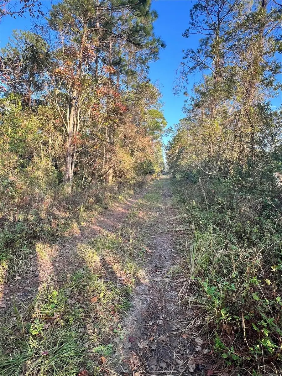 University Highlands/ Deland Crossings, Deland, FL 32724 - Image #2