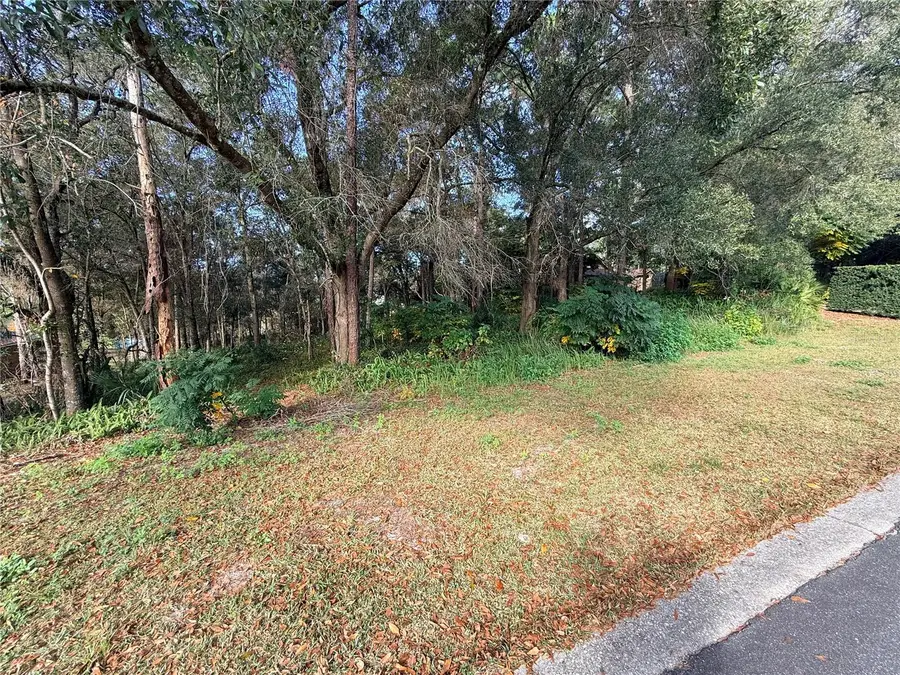 1482 Covered Bridge Drive, Deland, FL 32724 - Image #2