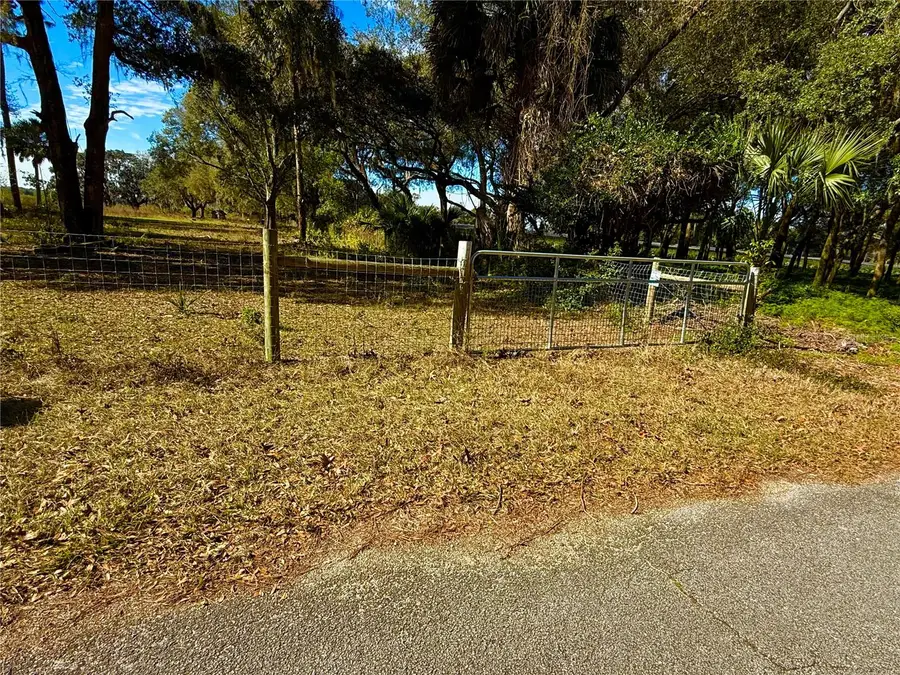 1800 Stone Road, Pierson, FL 32180 - #2