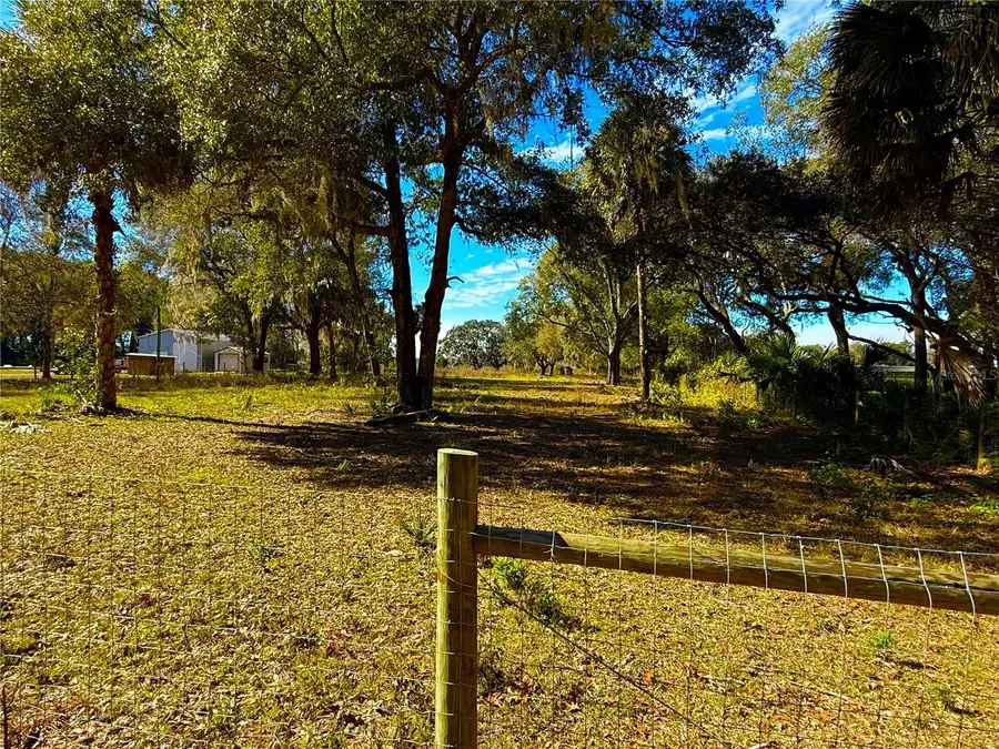 1800 Stone Road, Pierson, FL 32180 - #3