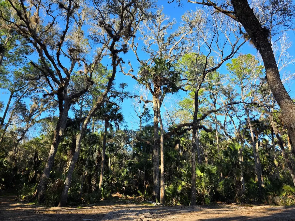 1243 Gee Whiz Drive, Osteen, FL 32764 - Image #1